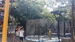 ФЕСТИВАЛЬ ЦВЕТОВ 6