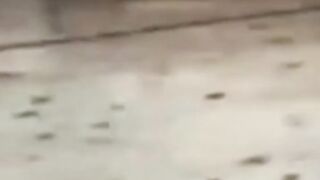 natural phenomena that occur in the Grand Mosque