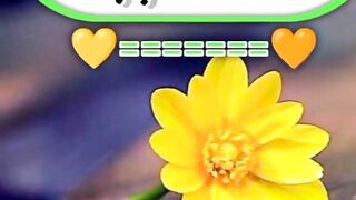 Video 6