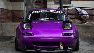 Mazda handsome