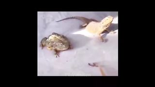 10 Minutes of Random Memes #5 2