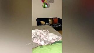 BEST JOKES/FUNNY ANIMALS 14