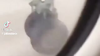 Wee videos 17