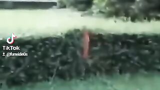 Wee videos 18