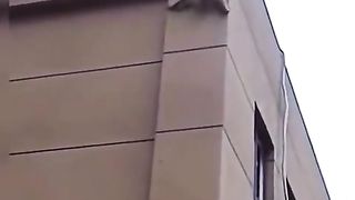 monkey climbing the building
