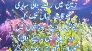 Deen ka ilm | Hadees | video