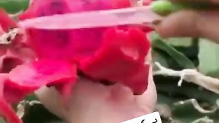 Find 'Find chine frout' on TikTok - TikTok Search_8. 2