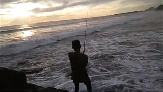 white snapper in the afternoon