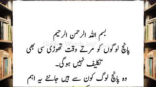 5 khush naseeb log | Quotes in Urdu | hbzurdubtv | motivational Lines