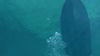 Farting diver.#humor