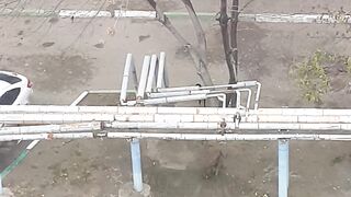 бабка неси борьщ сказала собака + собаки ждут бабку с борьщом
