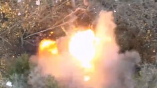 Russian MT-LB and a BTR were recently destroyed by the Ukrainian 80th Air Assault Brigade at the Eastern front