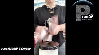 Подборка смешных видео с собаками! Милые собачки, подборка