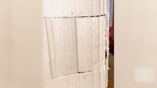 Приколы с животными Смешные животные кошки и собаки 2022