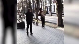 Приколы с животными Смешные животные кошки и собаки 2022