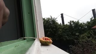 Natureza  !