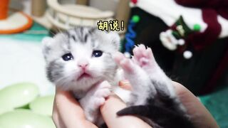 Вылез язычок, такой несдержанный!