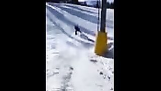 Приколы