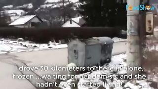 Он остался один, испуганный и замерзший, и пытается спрятаться