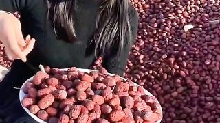 china_fruit_farm4 (@china_fruit_farm4)_4. 2