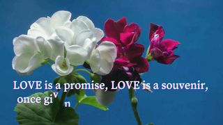 Romantic words about LOVE