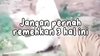 jgn bantah 3 perkara ini