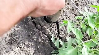 ЗА УСПЕШНА ГРАДИНА 23
