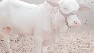 Karachi 2023