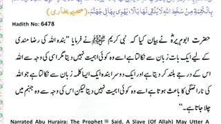 میری جَانب بھی ہو اِک نگاہِ کرم، اے شفیع الواریٰﷺ، خاتم الانبیاءﷺ 18