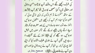 میری جَانب بھی ہو اِک نگاہِ کرم، اے شفیع الواریٰﷺ، خاتم الانبیاءﷺ 17