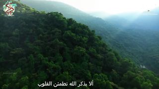 Surah Mulk by A.Buraimi  #trending #viral #quran #status # #muslim #meditation #asmr #relaxing