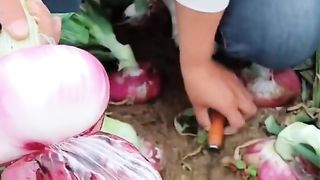 Find 'china fruit and vagitable' on TikTok - TikTok Search.