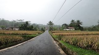Heavy rain and thunder rumble in the countryside _ Indonesian