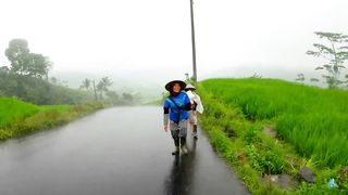 Heavy Rain in Unspoiled Hill Village _ Very Beautiful in my village