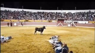 TRY NOT TO LAUGHING I Best Funny Videos Compilation 2023 # 125