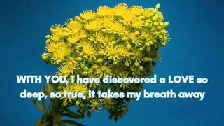 Sweet words For My Love 3