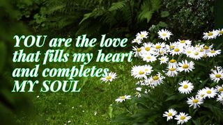 Sweet Words for Someone You Love