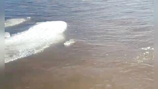 Amazing video 78