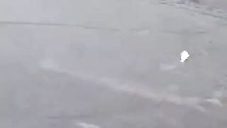 flooded environment and lots of fish