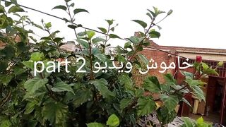 ????خاموش ویڈیو کیوں ؟؟ ????????