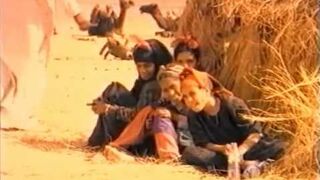 Chris Rea - Nothing To Fear