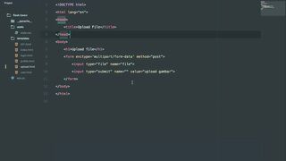 upload video flask