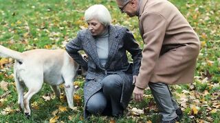 Dog and elderly