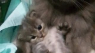 cild and mother
