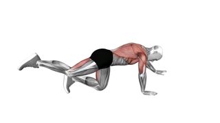 fitness and gymnasium
