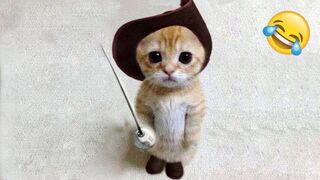 Funniest Animals 2023