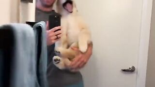 Puppy transforms into a teenager in 20 seconds