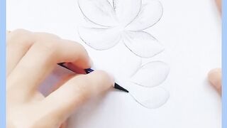 Beautiful drawing 3