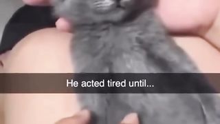cat funny 08