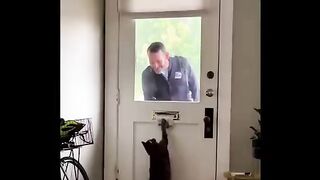 cat funny 012